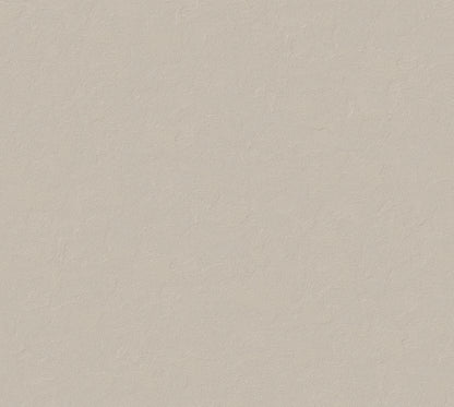 Iridecent Velvet