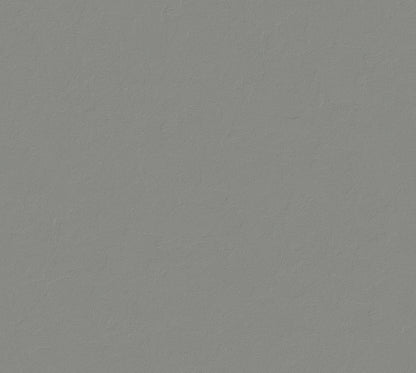 Iridecent Velvet