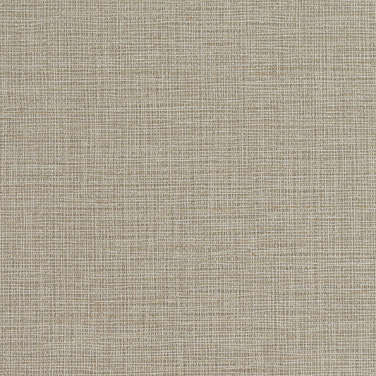 Invinci Cambric