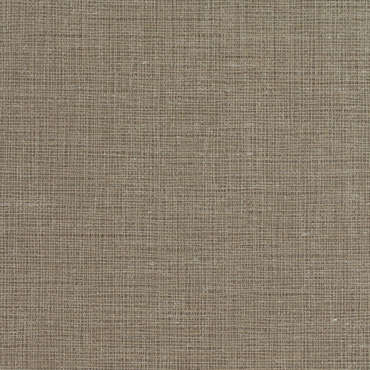 Invinci Cambric