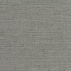 INV-MNI6915 - Corbeau