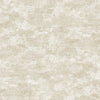 INV-MCR1303 - Cashew