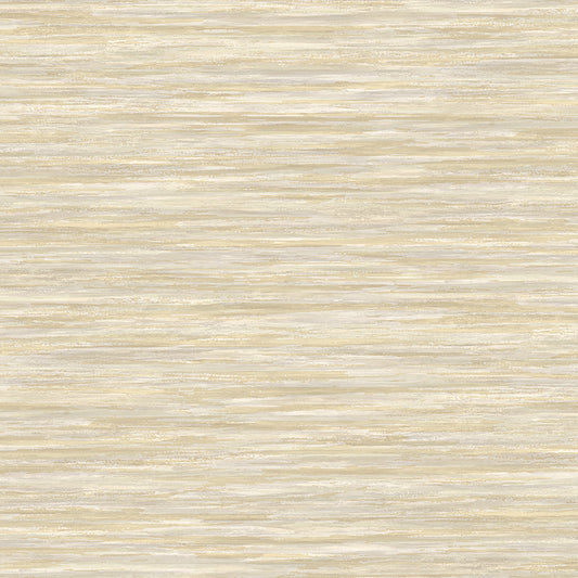 Invinci Euchari