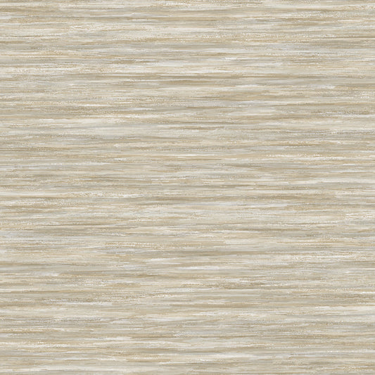 Invinci Euchari