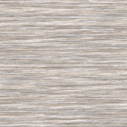 Invinci Euchari