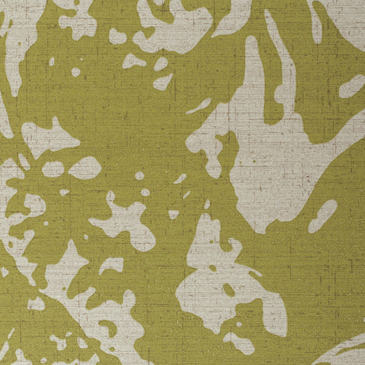 Invinci Fractal