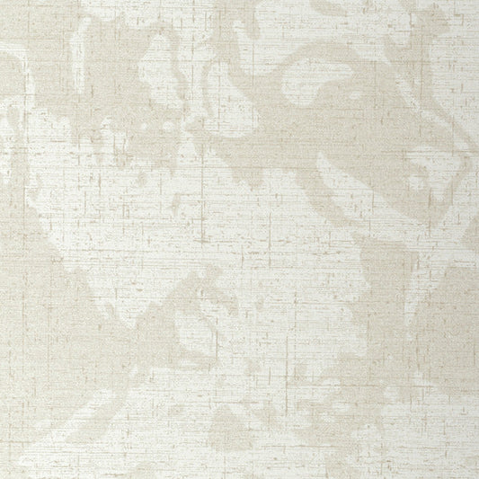 Invinci Fractal
