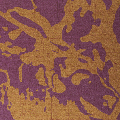 Invinci Fractal