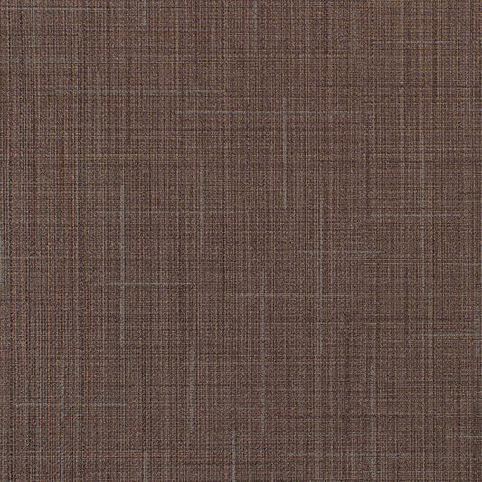 Invinci Icaro