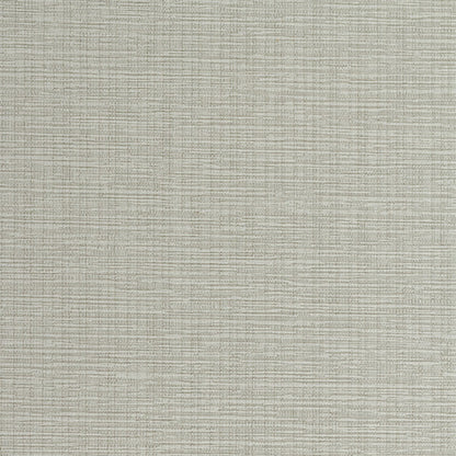 Invinci Intertwined