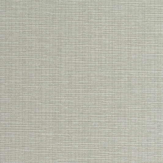 Invinci Intertwined