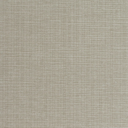 Invinci Intertwined