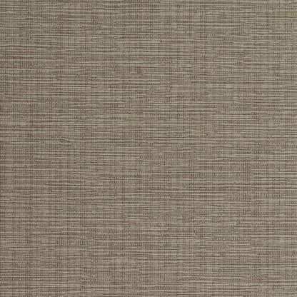 Invinci Intertwined