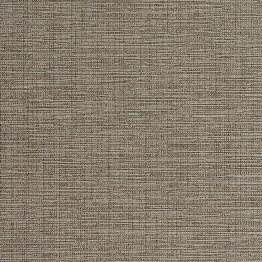 Invinci Intertwined