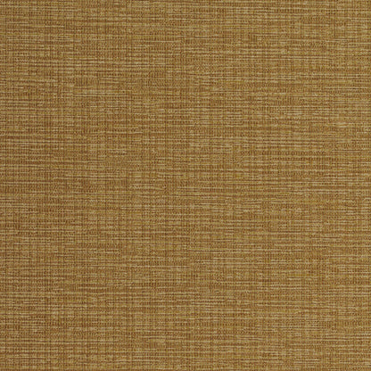 Invinci Intertwined
