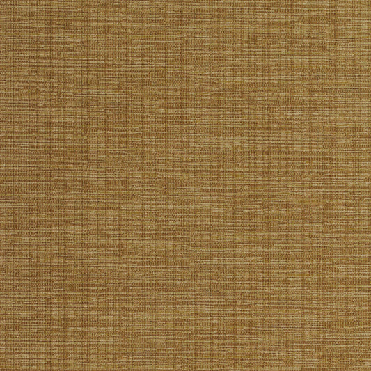 Invinci Intertwined