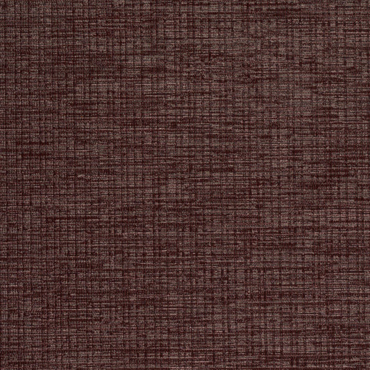 Invinci Intertwined
