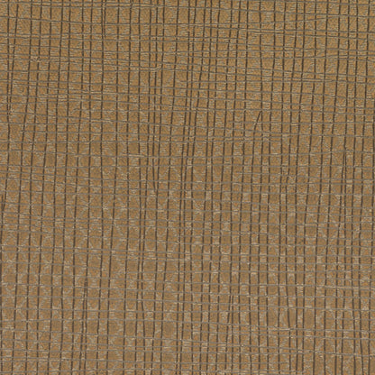 Invinci Latitude