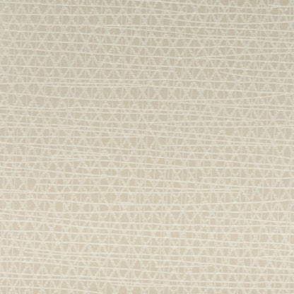 Invinci Latitude