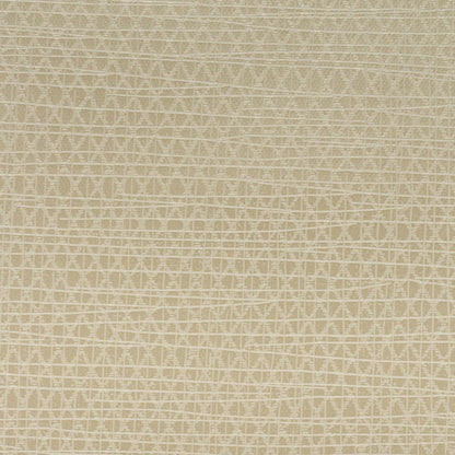 Invinci Latitude