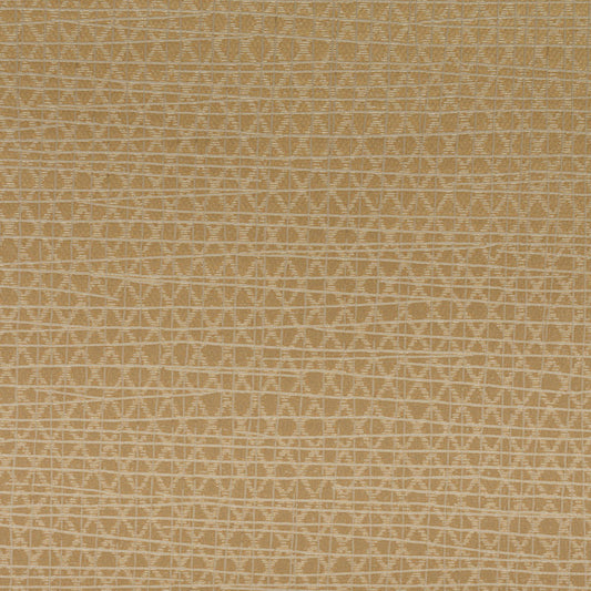 Invinci Latitude