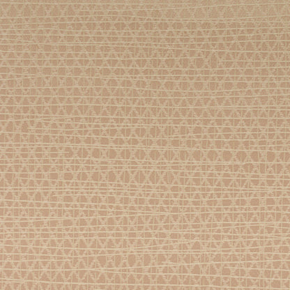 Invinci Latitude