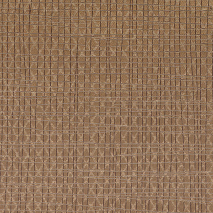 Invinci Latitude