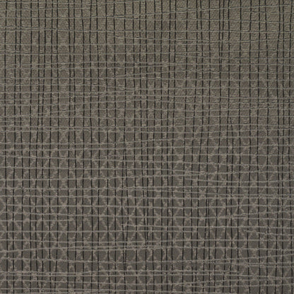Invinci Latitude