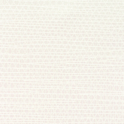 Invinci Latitude