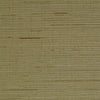 INV-MMD5808 - Tropic