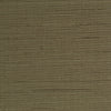INV-MMD5809 - Eel Grass