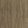 INV-MSU3111 - Renaissance