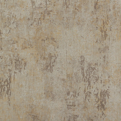 Invinci Milan
