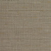 INV-MSC-15-144 - Silvery Birch