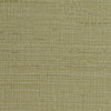 INV-MSC2615 - Beach Grass