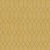 INV-MBX1315 - Acacia