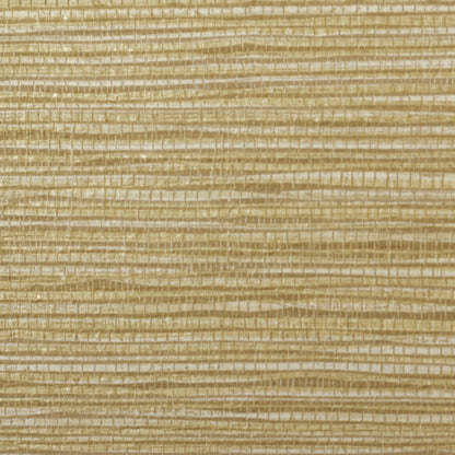 Invinci Sabal