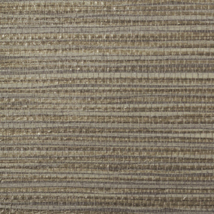 Invinci Sabal