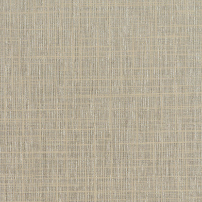 Invinci Soria - 15oz