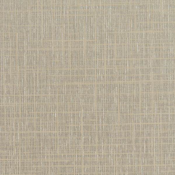 Invinci Soria - 15oz