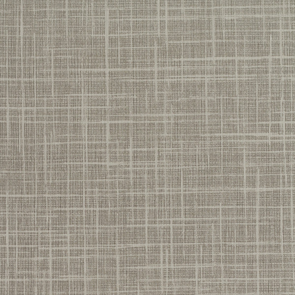 Invinci Soria - 15oz