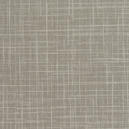 Invinci Soria - 15oz