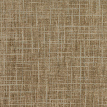 Invinci Soria
