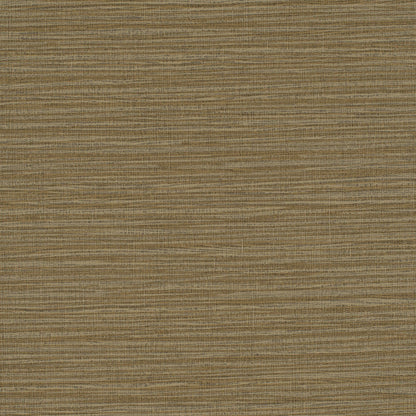 Invinci Vox