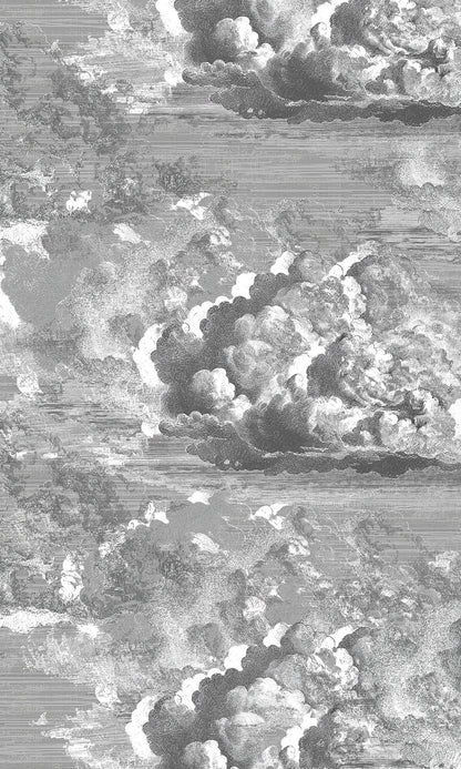 Abstract Clouds Murals MO1629