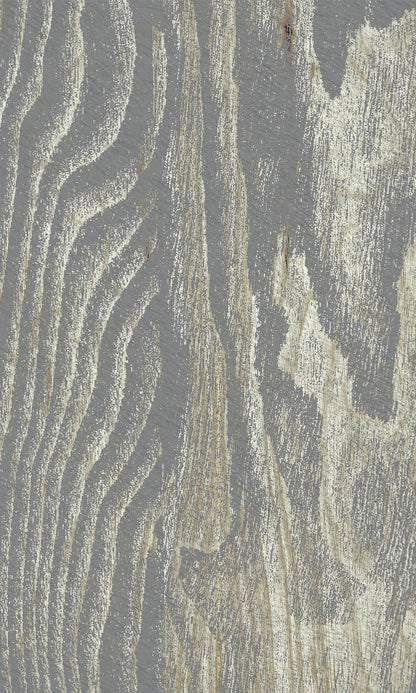 Gray Abstract Tree Bark Murals MS1153