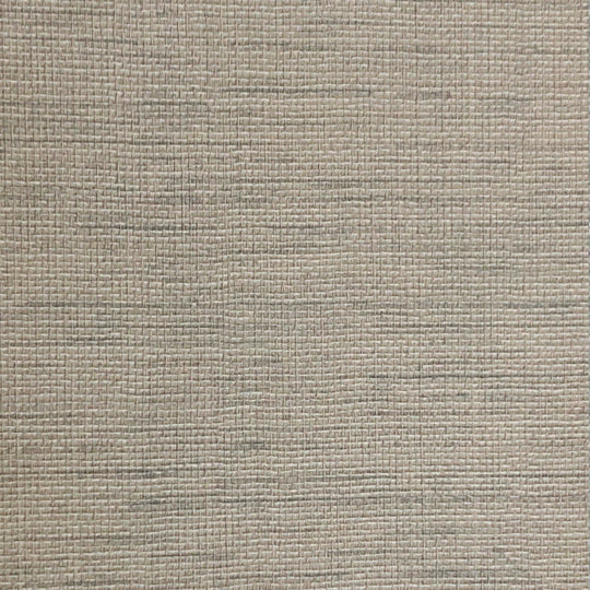 Prime Walls Surface Solutions -1
