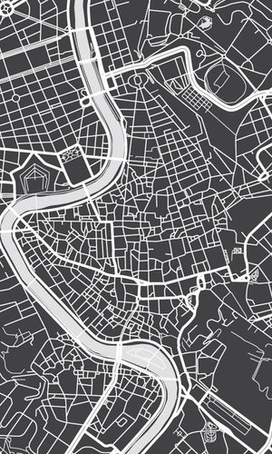 Aerial View Urban Map of Rome Wallpaper 2001033 - bshwallsandfloors.com