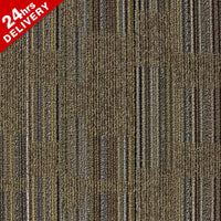 Coevolusion Evolve Reshap Carpet Tile 5503