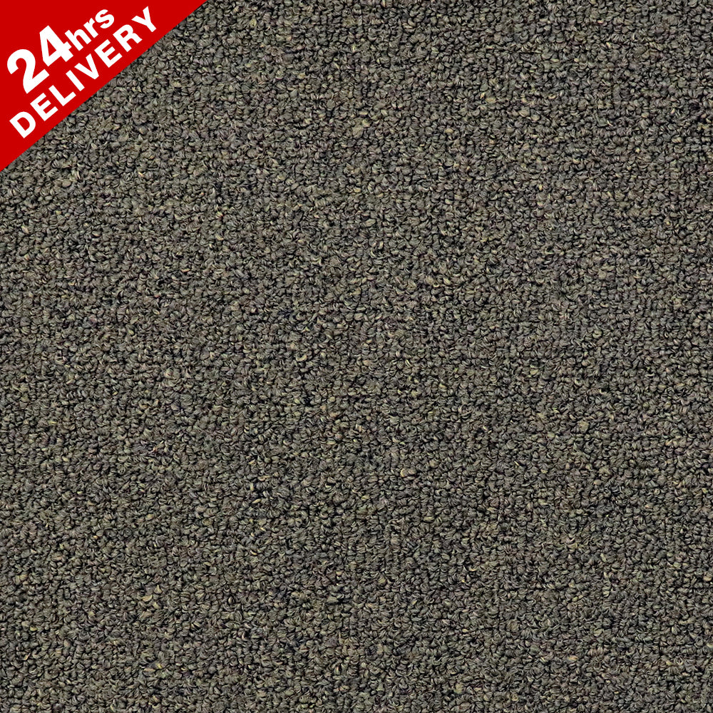 Midland Warwick Carpet Tile 8560